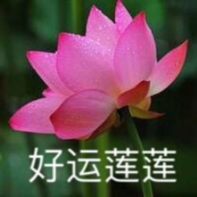 4399疯狂碰碰车下载